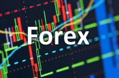 ۵ راز مهم برای معامله حرفه ای در فارکس و کسب درامد دلاری!